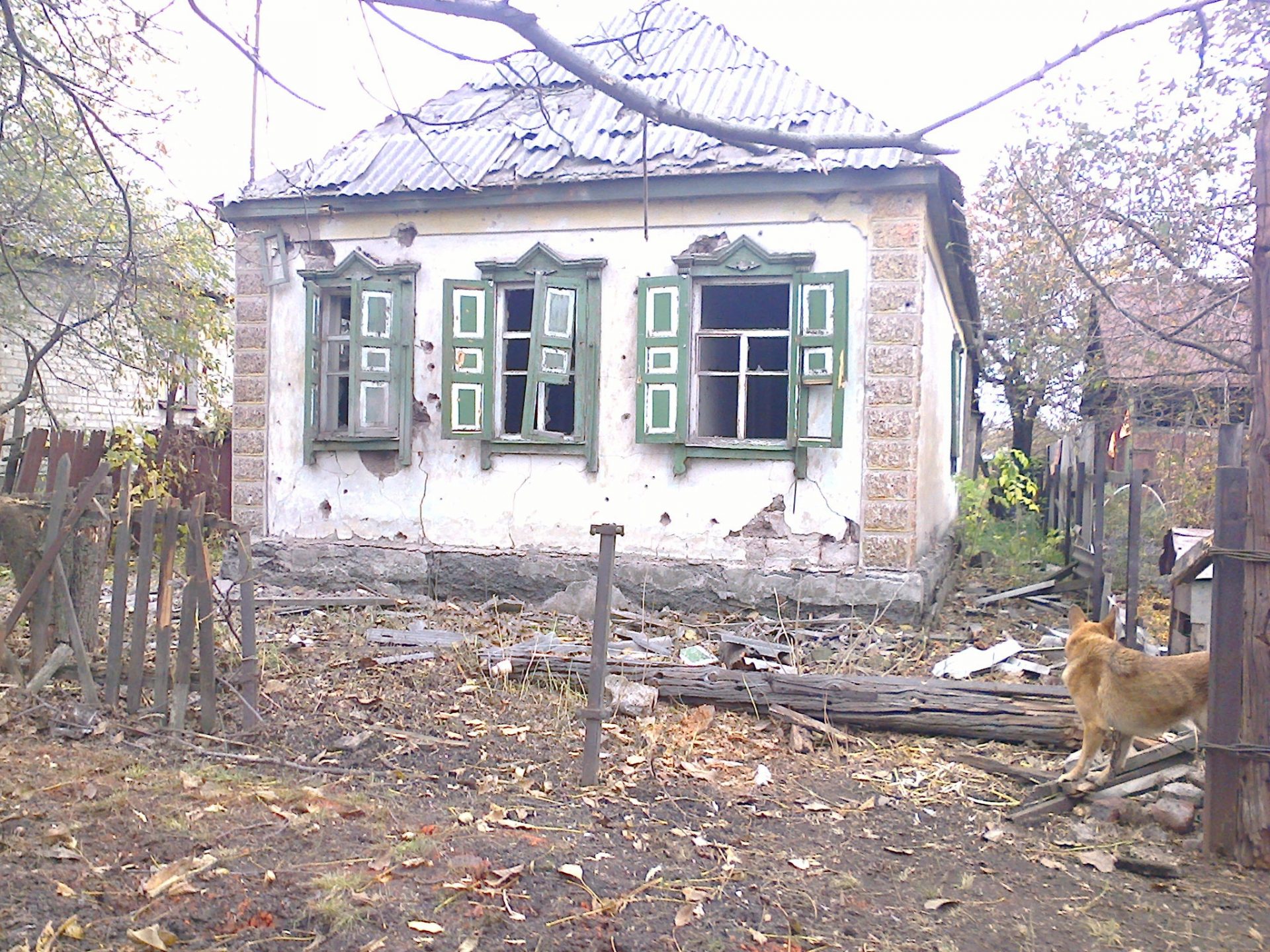 Small one-family house severely damaged by shelling in Eastern Ukraine. Dog standing in the yard.