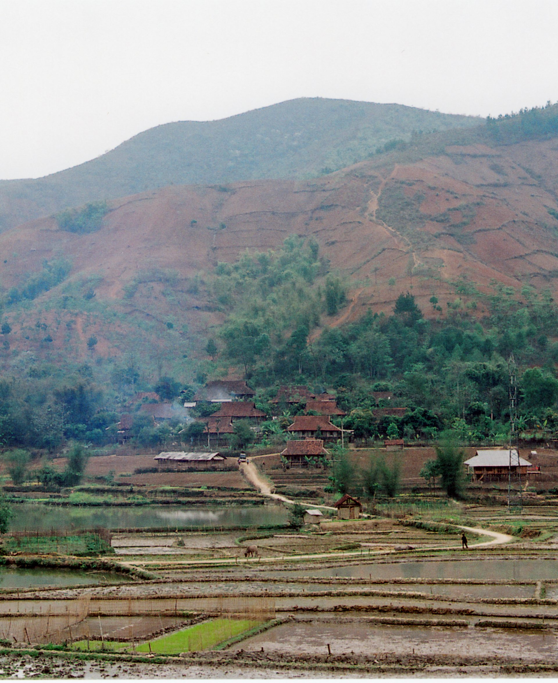 Panorama of valley with traditional houses and rice paddies.